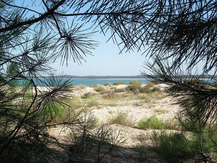 Gatseau (Isla de Oléron)