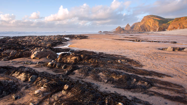 Sandymouth