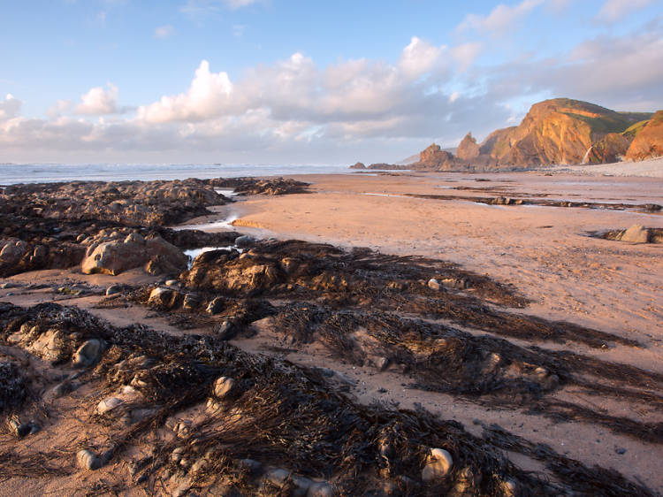 Sandymouth