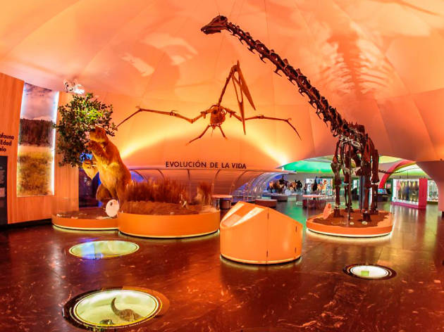 Museo de Historia Natural Museo de Historia Natural