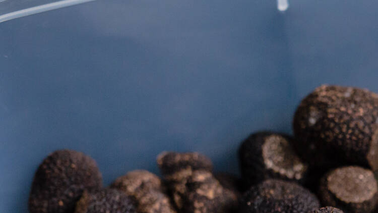 Black Cat Truffles, Wattle Flat