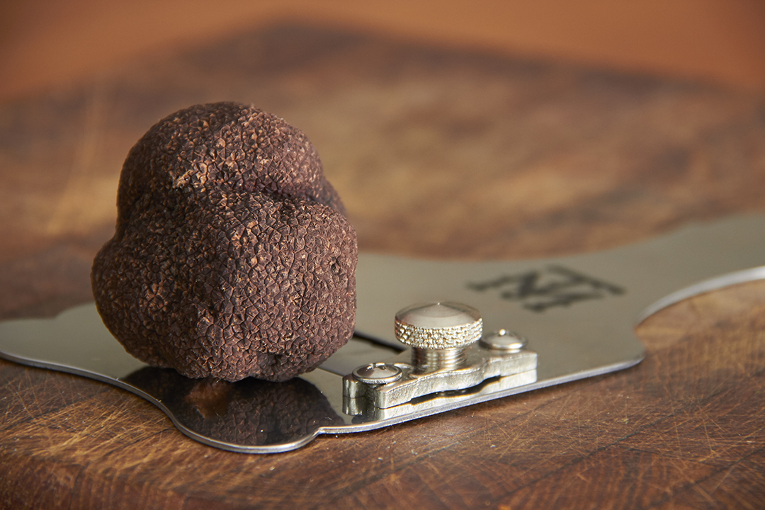 Where to go truffle hunting near Melbourne