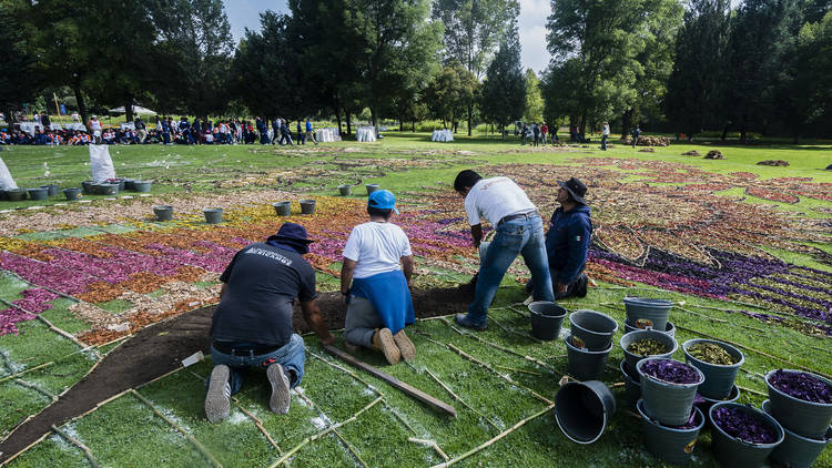 Feria de las Flores Xochitla (Foto: Cortesía de Xochitla Parque Ecológico)