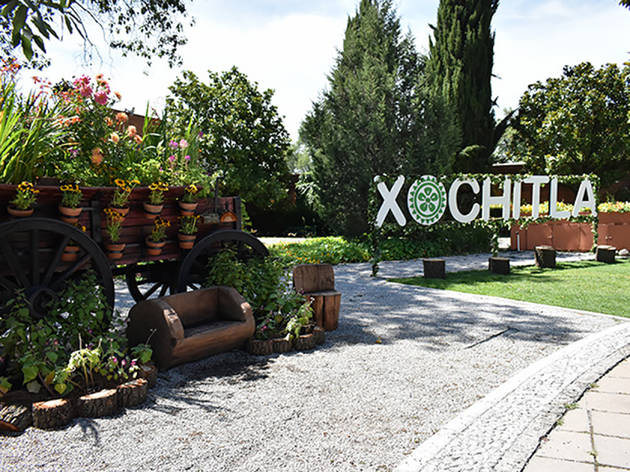 Feria de las Flores en Xochitla Parque Ecológico La quinta edición de la Feria de las Flores en Xochitla Parque Ecológico