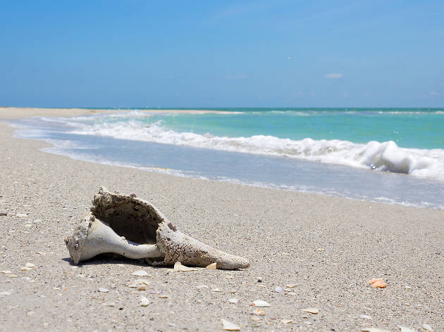Cayo Costa State Park Cayo Costa State Park