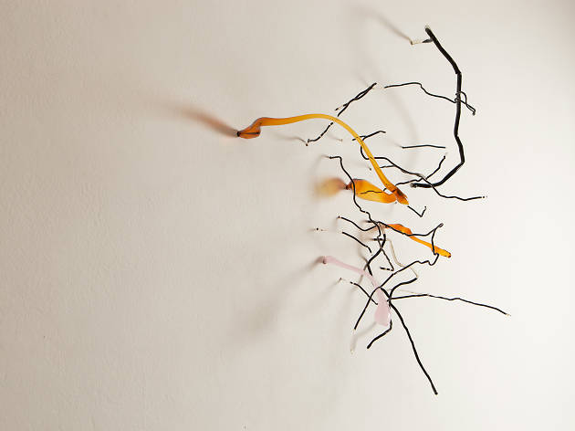 'Delu', de Lara Fluxà 'Delu', de Lara Fluxà