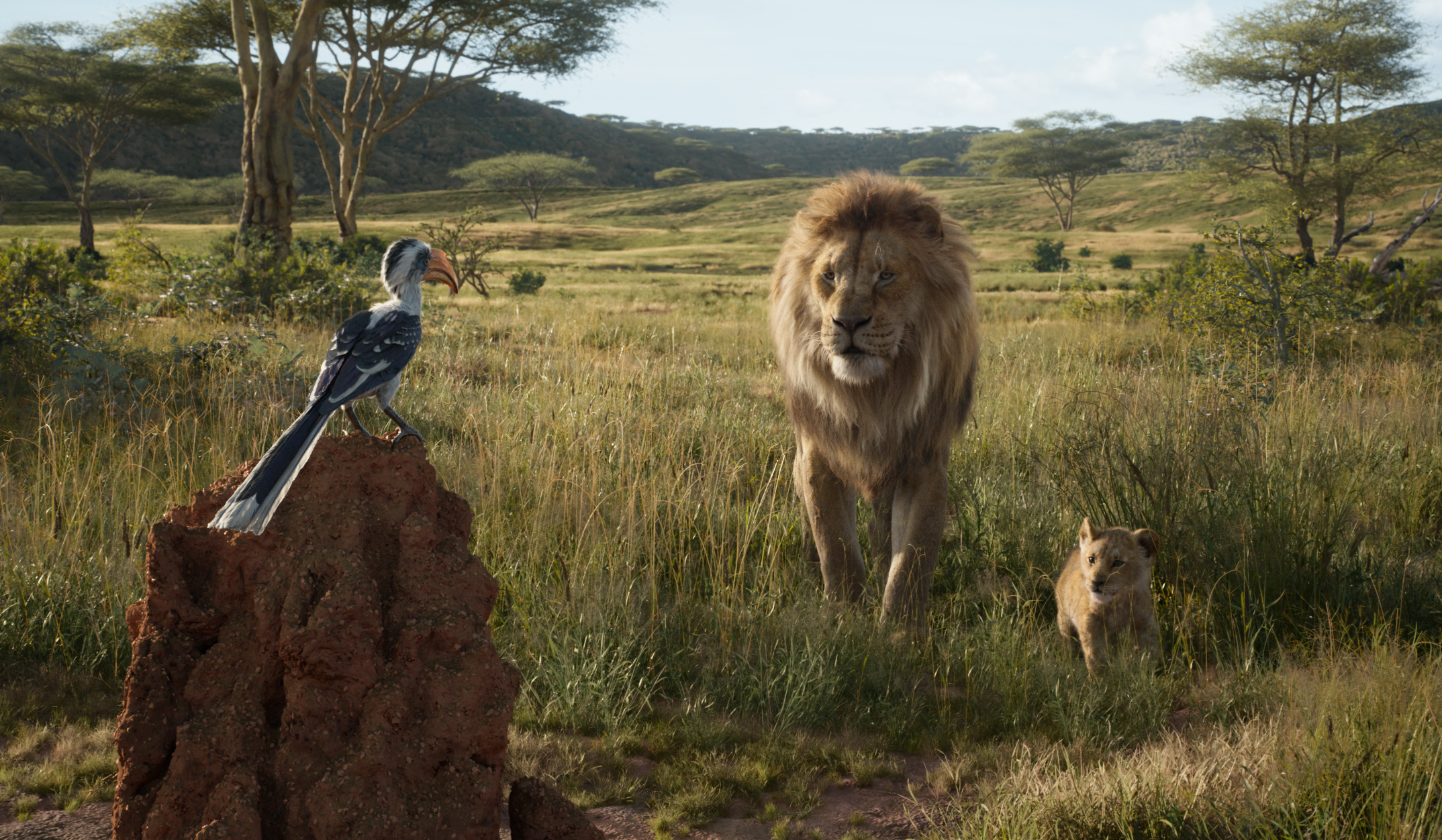 The Lion King 2019 Directed By Jon Favreau Film Review