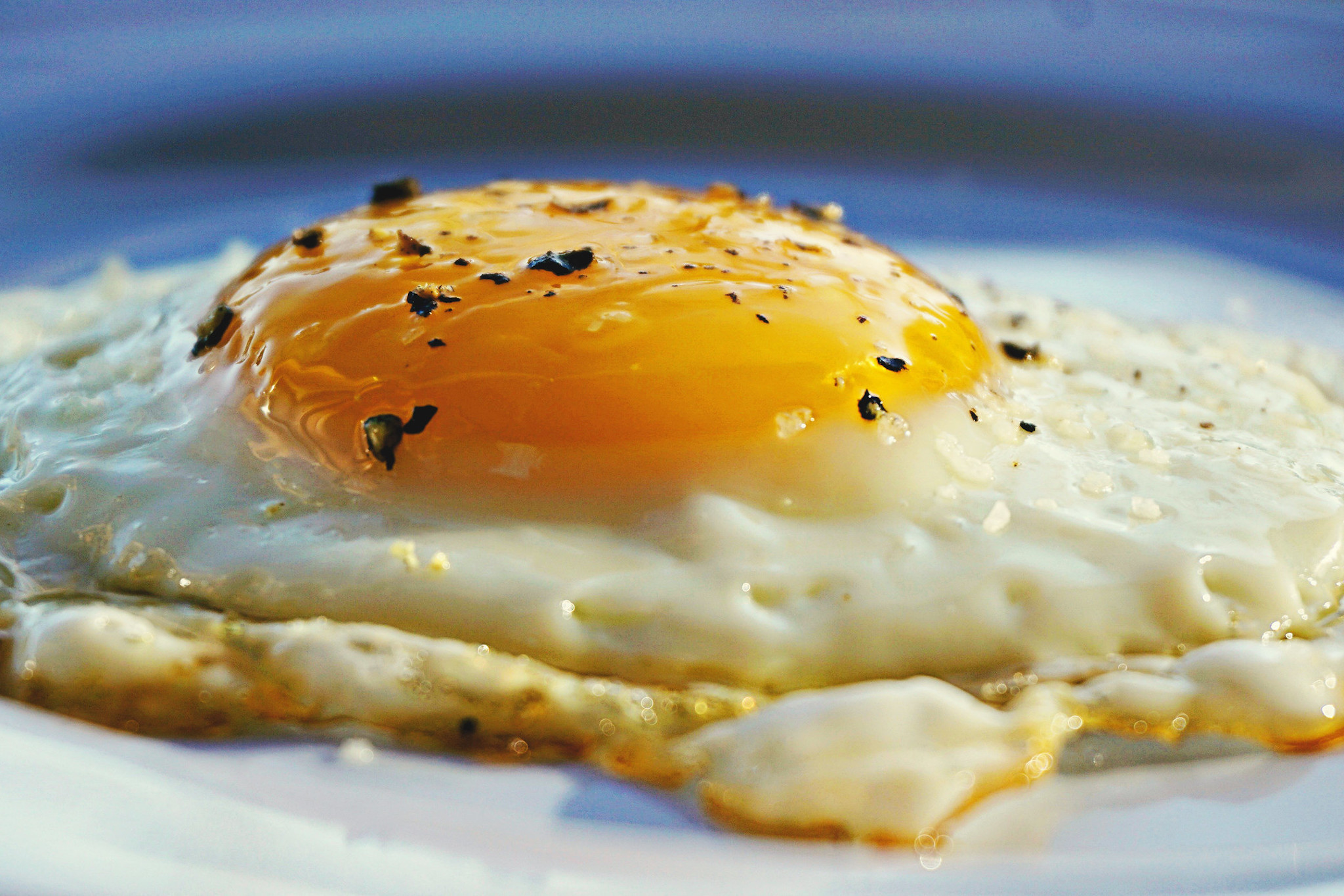 13 top Miami chefs on their goto cheap eats from before they made it big