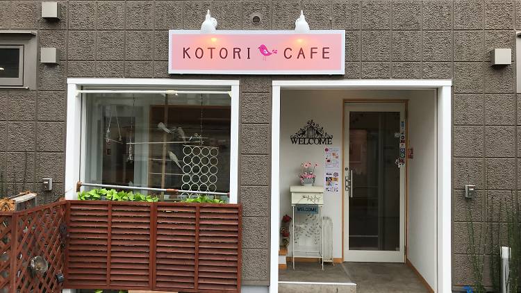 Kotori Cafe