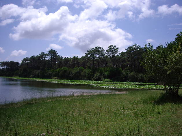 lagoa da vela lagoa da vela