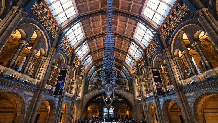 Natural History Museum 