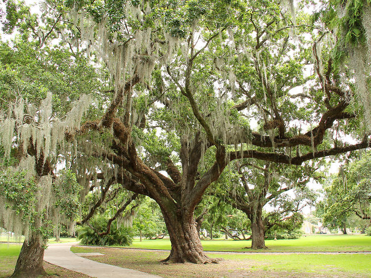 Where To Stay in New Orleans: Top Neighborhoods To Visit