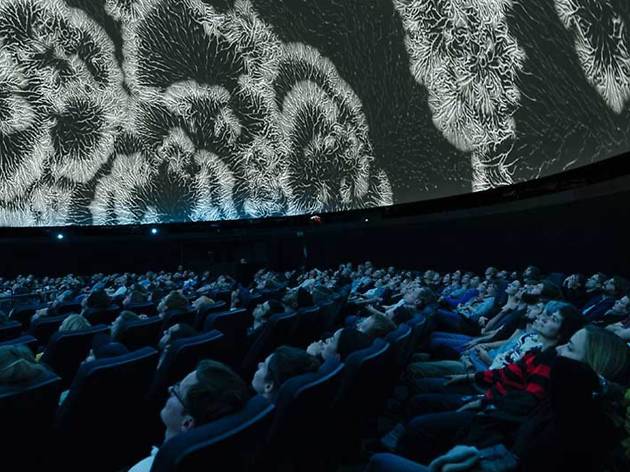 Sónar 2019 Sónar 2019
