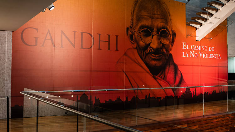 Gandhi (Foto: Alejandra Carbajal)