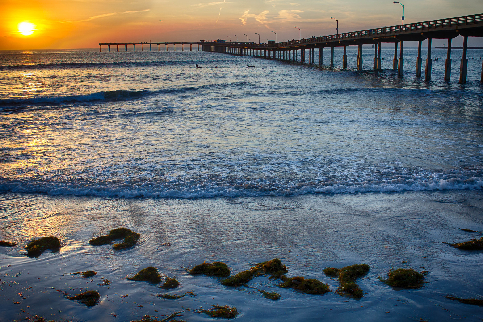20 Best Beaches In San Diego For Year Round Sun Sand And Surf