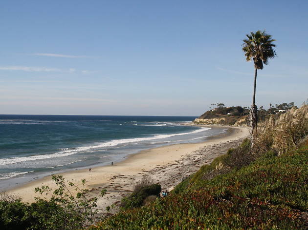 20 Best Beaches In San Diego For Year Round Sun Sand And Surf