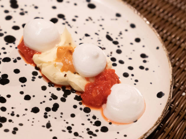 Cardo, experiencia gastronómica de cocina española y mexicana Cardo, experiencia gastronómica de cocina española y mexicana