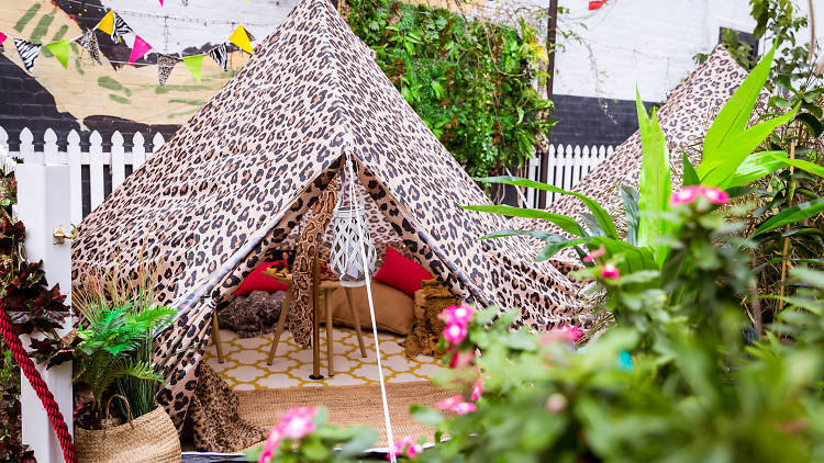 Leopard print tent at the Wickham Hotel for jungle themed event.