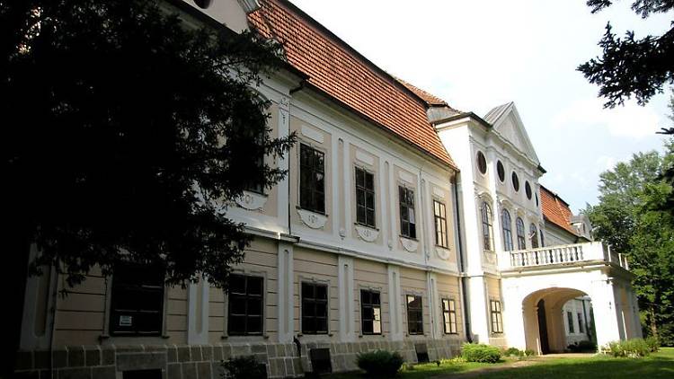 Castle Janković