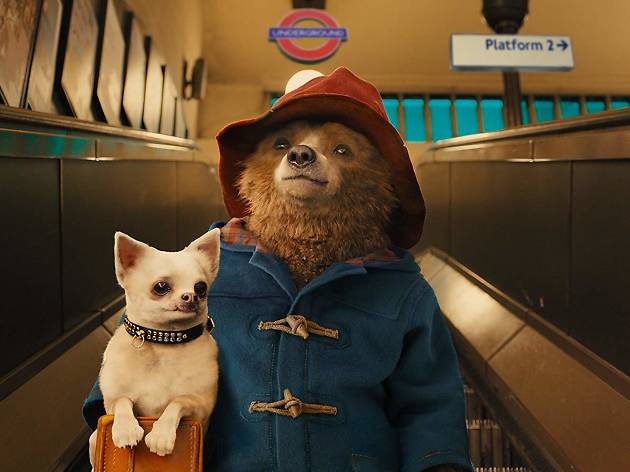 Paddington Paddington