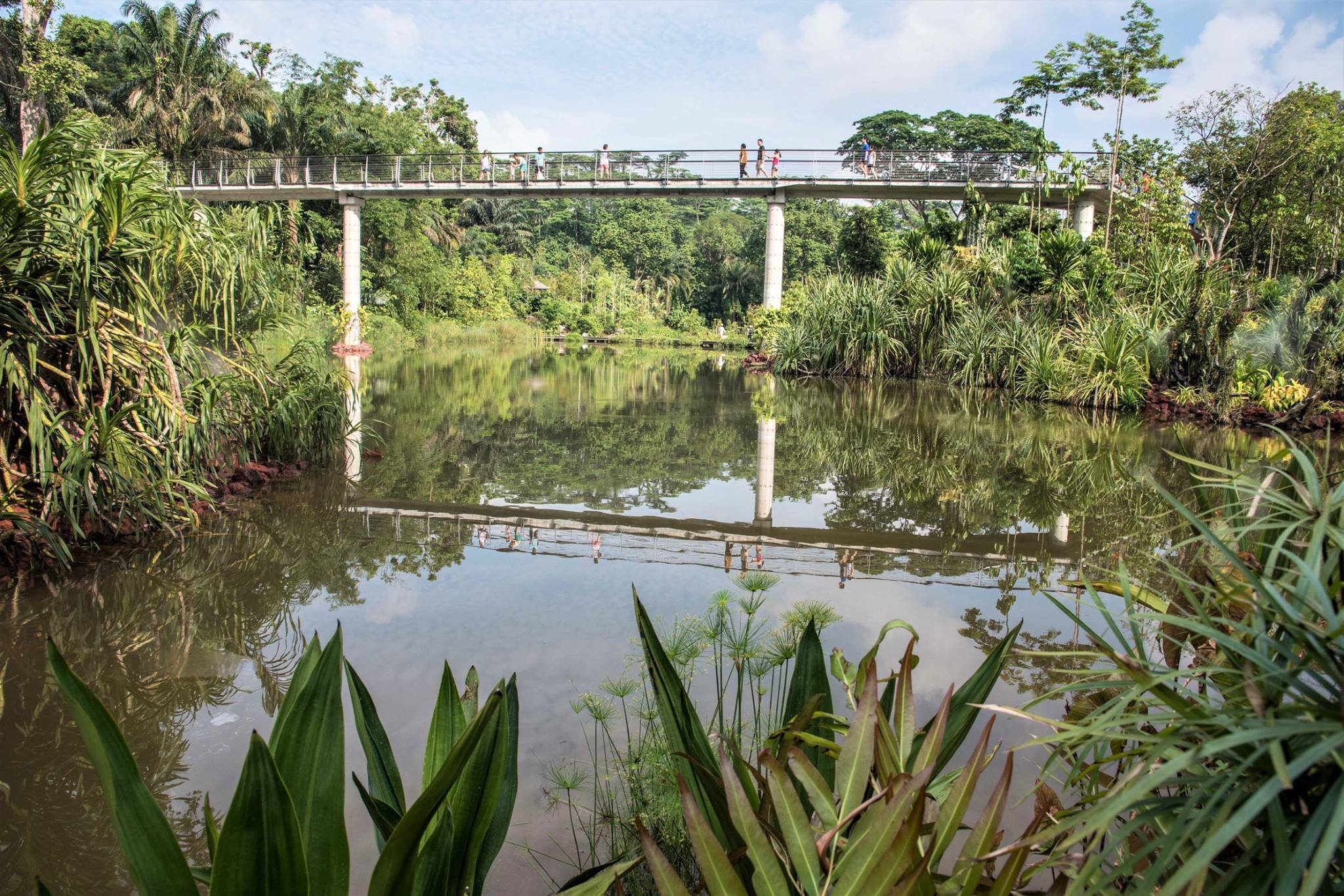 18 Best Cycling Trails And Routes In Singapore