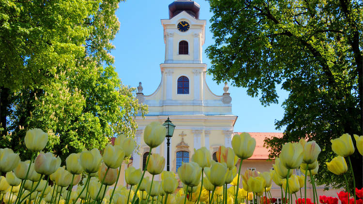 Admire a Baroque cathedral