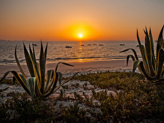 Praia do Rosário praias fluviais