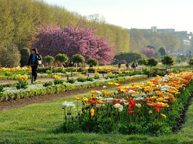 Jardin des plante