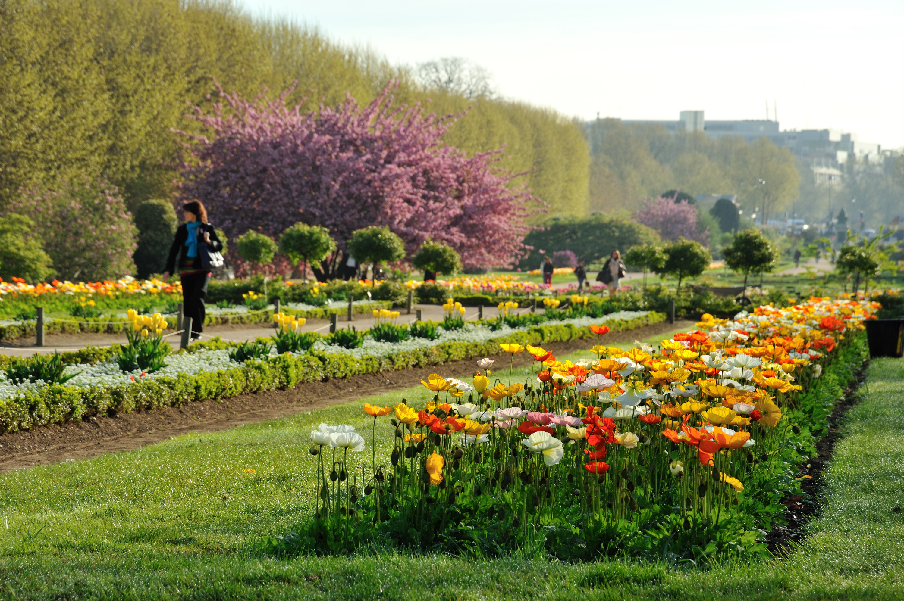 Dans le 5e, le jardin des Plantes détient la plus grosse collection de