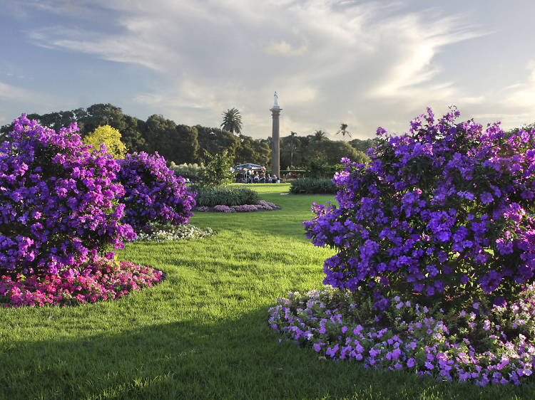 Where to find the best Sydney parks