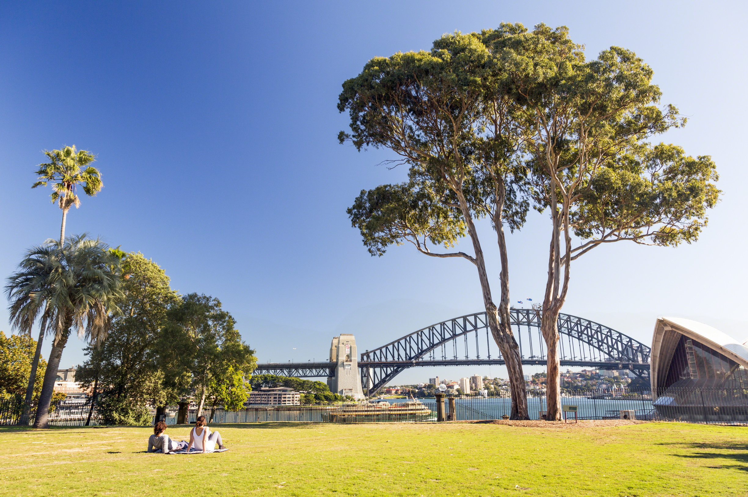 guided tour sydney national park