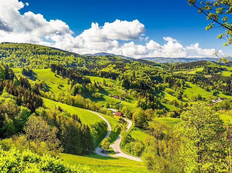 Rolling hills in the Black Forest region of Germany