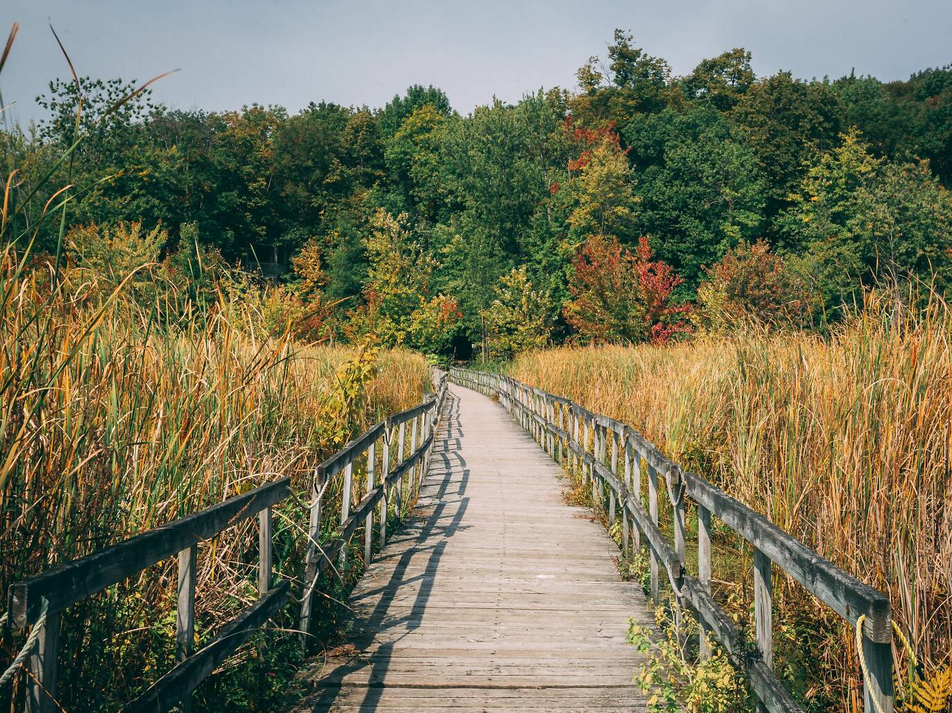 24 Best Day Trips from Montreal When You Want to Escape the City