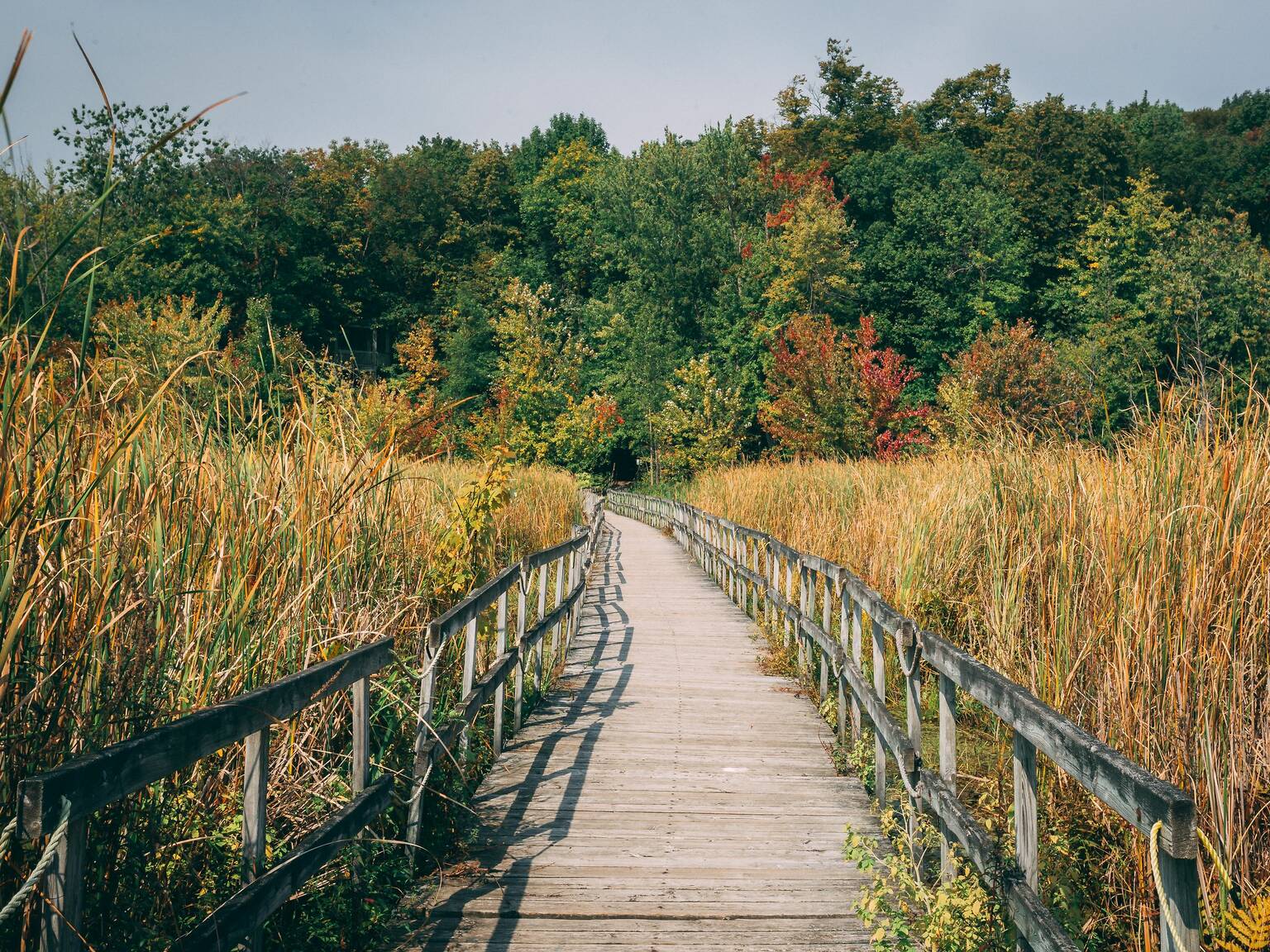 24 Best Day Trips From Montreal When You Want To Escape The City