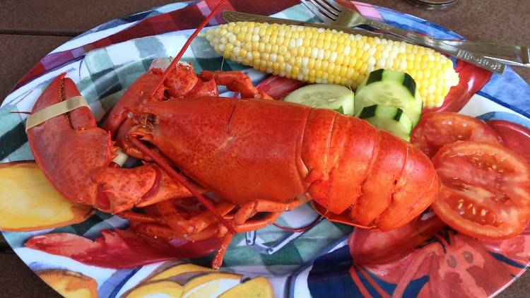 Lobster dinner