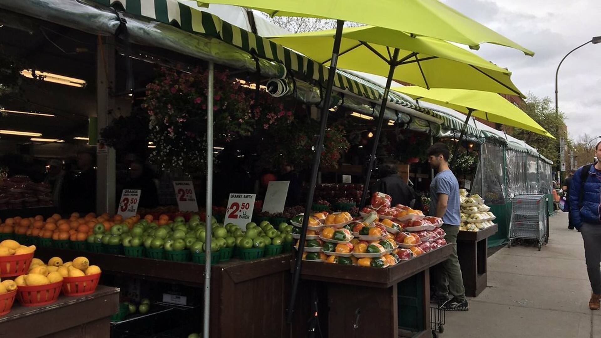 12 Best Farmers’ Markets in Montreal to Find the Freshest Product