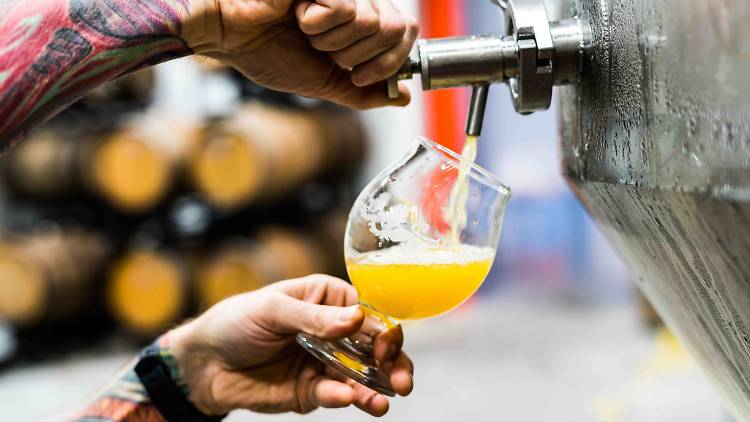 Book a brewery tour