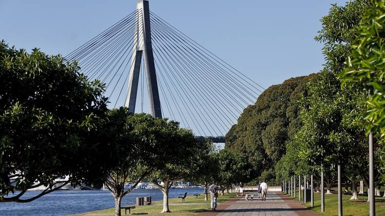 Blackwattle Bay Run