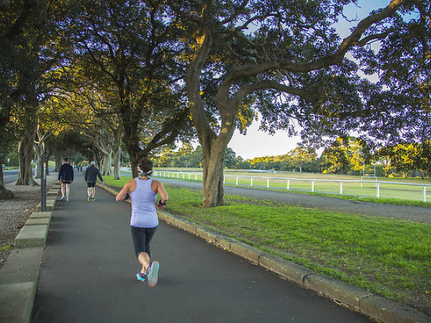 The 13 best running routes in Sydney