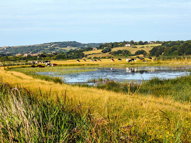 Romney Marsh in East Sussex, England Romney Marsh in East Sussex, England