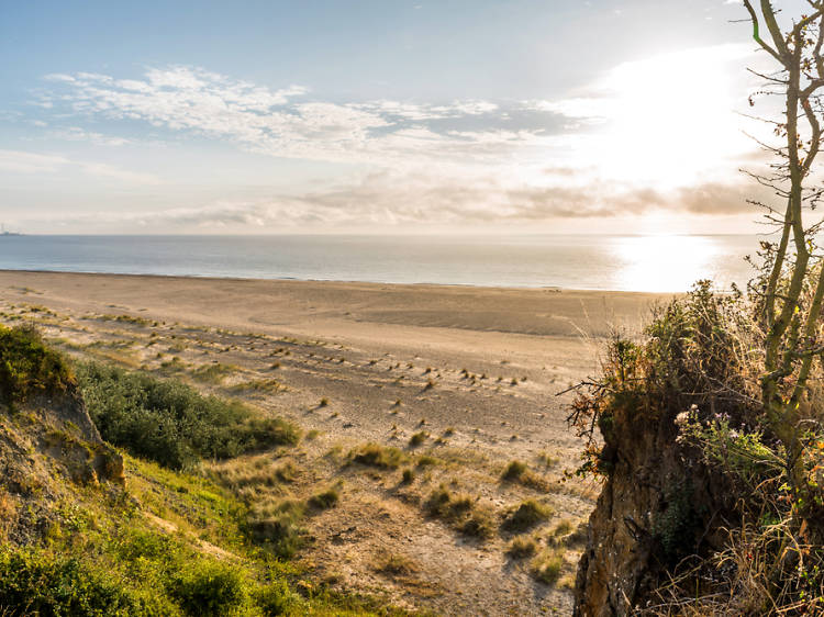 Suffolk Coast and Heaths