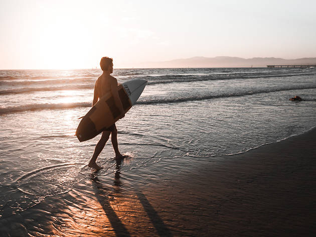 Surf Lessons In Los Angeles For The Novice Or Experienced Surfer