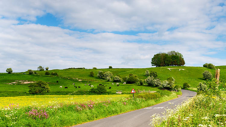 North Wessex Downs