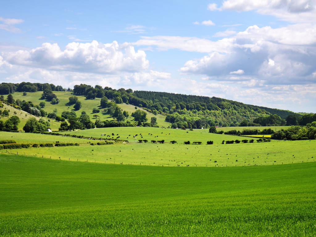 13 Breathtaking Areas of Outstanding Natural Beauty near London To