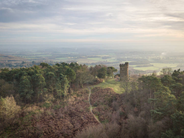 Surrey Hills