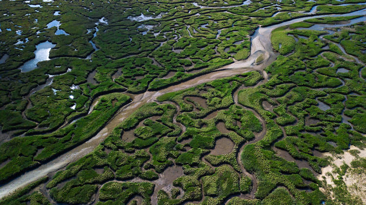 Norfolk coast