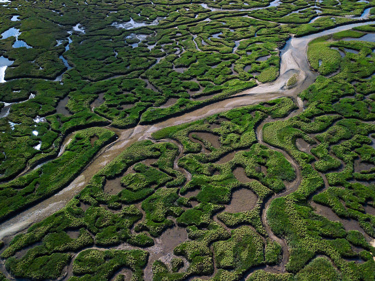 Norfolk coast