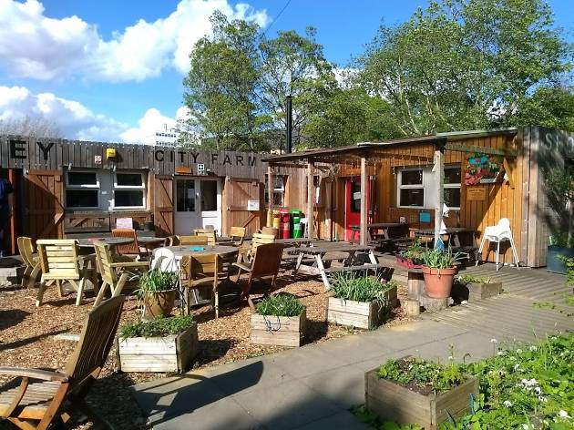 Stepney City Farm Garden Stepney City Farm Garden