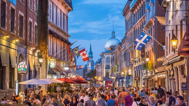VDM Global: Flavours and Aromas of Old Montreal