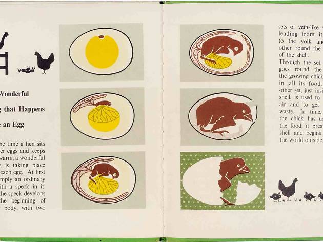 Marie Neurath: Picturing Science Marie Neurath: Picturing Science
